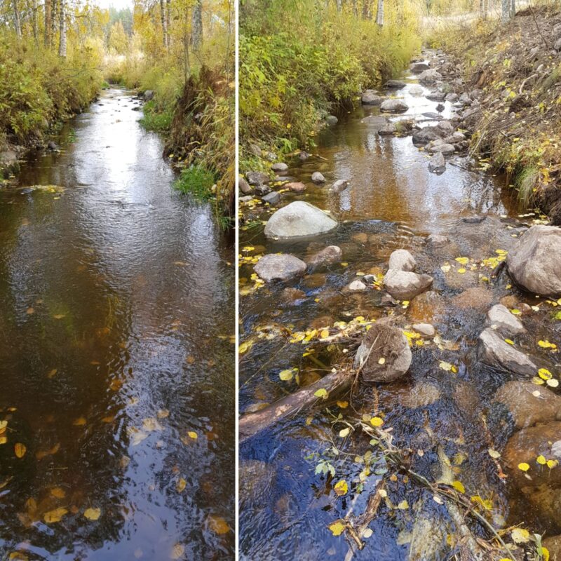 Pirkanmaa - kertalahjoitus purojen kunnostukseen ja taimenkantojen palauttamiseen Pirkanmaalla